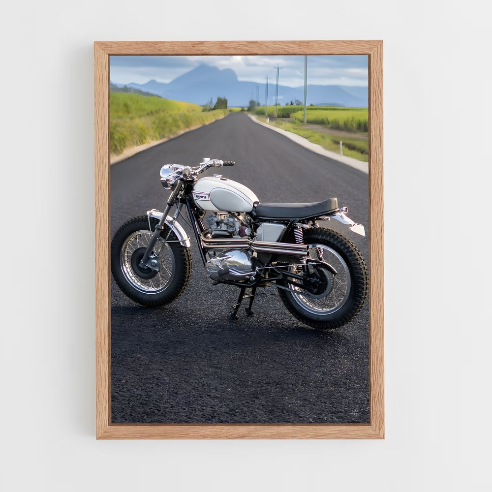 Poster Ride Into the Wild – affiche Ducati (vue 4)
